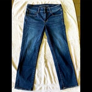 AE Artist Crop - Size 12 Long